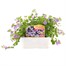 Bacopa Blue 6 Pack Boxed BeddingAlternative Image1