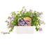 Bacopa Blue 6 Pack Boxed BeddingAlternative Image2