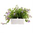 Bacopa Blue 6 Pack Boxed BeddingAlternative Image3