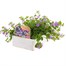 Bacopa Blue 6 Pack Boxed BeddingAlternative Image3