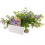 Bacopa Blue 6 Pack Boxed BeddingAlternative Image4