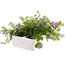 Bacopa Blue 6 Pack Boxed BeddingAlternative Image4