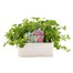 Bacopa Cabana Hot White Jumbo 6 Pack Boxed BeddingAlternative Image1
