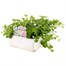 Bacopa Cabana Hot White Jumbo 6 Pack Boxed BeddingAlternative Image3