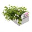 Bacopa Collection Mixed 6 Pack Boxed BeddingAlternative Image3