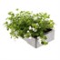 Bacopa Collection Mixed 6 Pack Boxed BeddingAlternative Image4