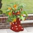 Bee Friends Chilli & Nasturtium Companion Grow Set Planter (018452) Alternative Image