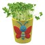 Bee Friends Paint Your Own Butterfly Pot & Grow Cress Set (340300) Alternative Image