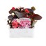 Begonia Semp Bronze Leaf Mixed 12 Pack Boxed BeddingAlternative Image1