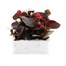 Begonia Semp Bronze Leaf Mixed 12 Pack Boxed BeddingAlternative Image2