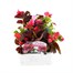 Begonia Semp Mixed 12 Pack Boxed BeddingAlternative Image1