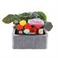 Begonia Nonstop Mixed (Tuberlous) 6 Pack Boxed BeddingAlternative Image1