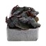 Begonia Mocca Scarlet 6 Pack Boxed BeddingAlternative Image1