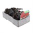Begonia Mocca Scarlet 6 Pack Boxed BeddingAlternative Image2