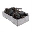 Begonia Mocca Scarlet 6 Pack Boxed BeddingAlternative Image3