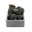 Begonia Mocca White 6 Pack Boxed BeddingAlternative Image1
