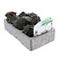 Begonia Mocca White 6 Pack Boxed BeddingAlternative Image2