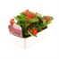 Begonia Semp Red Green Leaf 12 Pack Boxed BeddingAlternative Image3