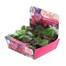 Begonia Semperflorens Mix 20 Baby Bedding Cell Plug Plants Alternative Image
