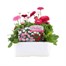 Bellis Pomponette Mixed 6 Pack Boxed BeddingAlternative Image1