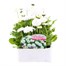 Bellis Pomponette White 6 Pack Boxed BeddingAlternative Image1