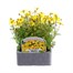 Bidens Collection 6 Pack Boxed BeddingAlternative Image1