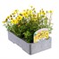 Bidens Collection 6 Pack Boxed BeddingAlternative Image3