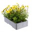 Bidens Collection 6 Pack Boxed BeddingAlternative Image4