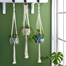 Burgon & Ball Macramé Plant Pot Hanger - Monterey (GIG/HMACMONT)Alternative Image1