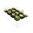 Carrot Chantenay 12 Pack Boxed Bedding VegetablesAlternative Image3