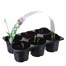 Carry Home Pack - Snowdrops Elwesii - 6 x 10.5cm Pot Bedding  Alternative Image