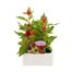 Celosia Kimono Mixed 6 Pack Boxed BeddingAlternative Image1