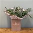 Christmas Tree Farm Festive Hand Tied Bouquet Alternative Image