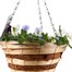 Cool Wave Pansy Mixed Wicker Hanging Cone 12 Inches Alternative Image