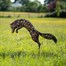 Creekwood Leaping Fox Sculpture Bronze 100x99cm (43267)Alternative Image1