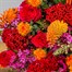 Crimson Flare Autumn Floral Hand Tied Bouquet Alternative Image