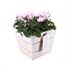 Cyclamen Wooden Sqaure Heart Bedding Planter - Design 1 Alternative Image