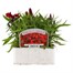 Dianthus Diamond Red 6 Pack Boxed Bedding Alternative Image