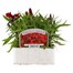 Dianthus Diamond Red 6 Pack Boxed BeddingAlternative Image1