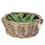 Drypot Rattan Bowl Planter - 30 x 11cm (901259)Alternative Image2