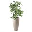 Elho 40cm June Round High Balanced Beige Premium Plant Pot Alternative Image