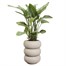 Elho 43cm Amber Roll High Balanced Beige Premium Plant Pot Alternative Image