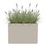 Elho 80cm June Brick Divider Balanced Beige Premium Plant Pot Alternative Image