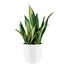 Elho Brussels Diamond Round Plant Pot - 16cm - White (8141561615000)Alternative Image1