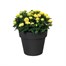 Elho Green Basics Top Planter Pot - 40cm - Living Black (7613303943300)Alternative Image1