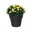 Elho Green Basics Top Planter Pot - 40cm - Taupe (7613303941000)Alternative Image1