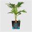 Elho Greensense Aqua Care Round Pot 30cm Charcoal Grey (3102903044000) Alternative Image