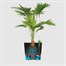 Elho Greensense Aqua Care Round Pot 30cm Light Concrete (3102903031100) Alternative Image