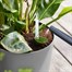 Elho Greensense Aqua Care Round Pot 30cm Light Concrete (3102903031100) Alternative Image