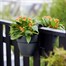 Elho Vibia Campana Flower Pot Twin 21cm Anthracite (3652602142500)Alternative Image3